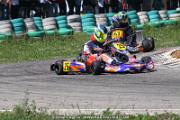 20110501_ales_agnus (3144)
